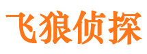 东山市私家侦探